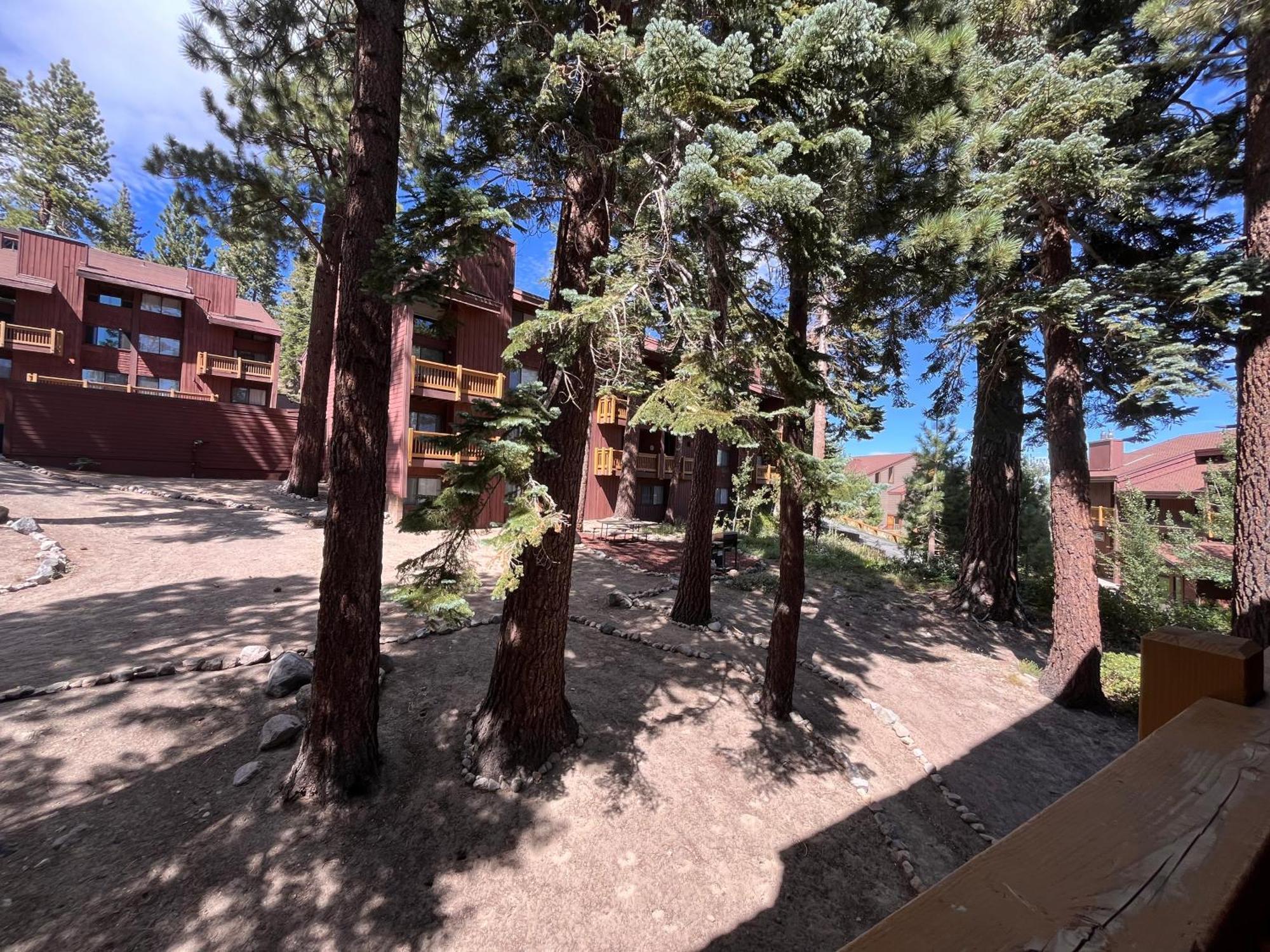 Tastefully Remodeled Condo At Mammoth Ski & Racquet Club, Hot Tub, Garage, 10 Min Walk To Ski Lifts Mammoth Lakes Buitenkant foto